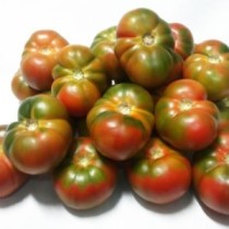 Tomate Ensalada Ecológico