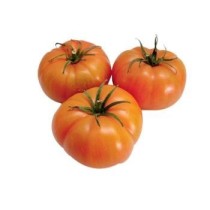 Tomate Ensalada Ecológico