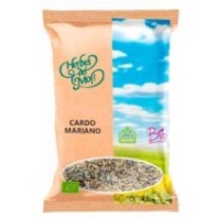 CARDO MARIANO SEMILLAS ECO...