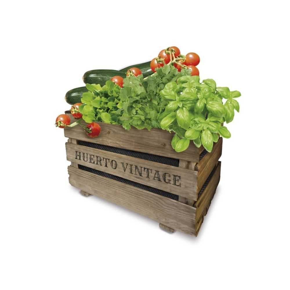 KIT HUERTO VINTAGE ECO