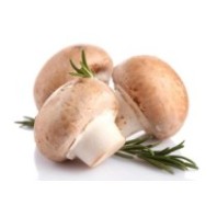 Champiñón Portobello Ecológico