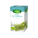 Cola de caballo ecológico