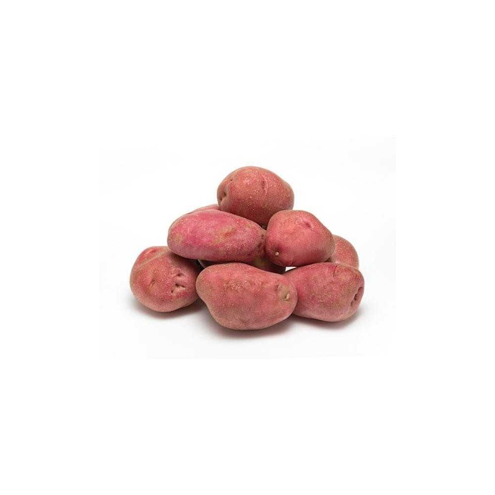 Patata Roja Ecológica Patata Roja Ecológica