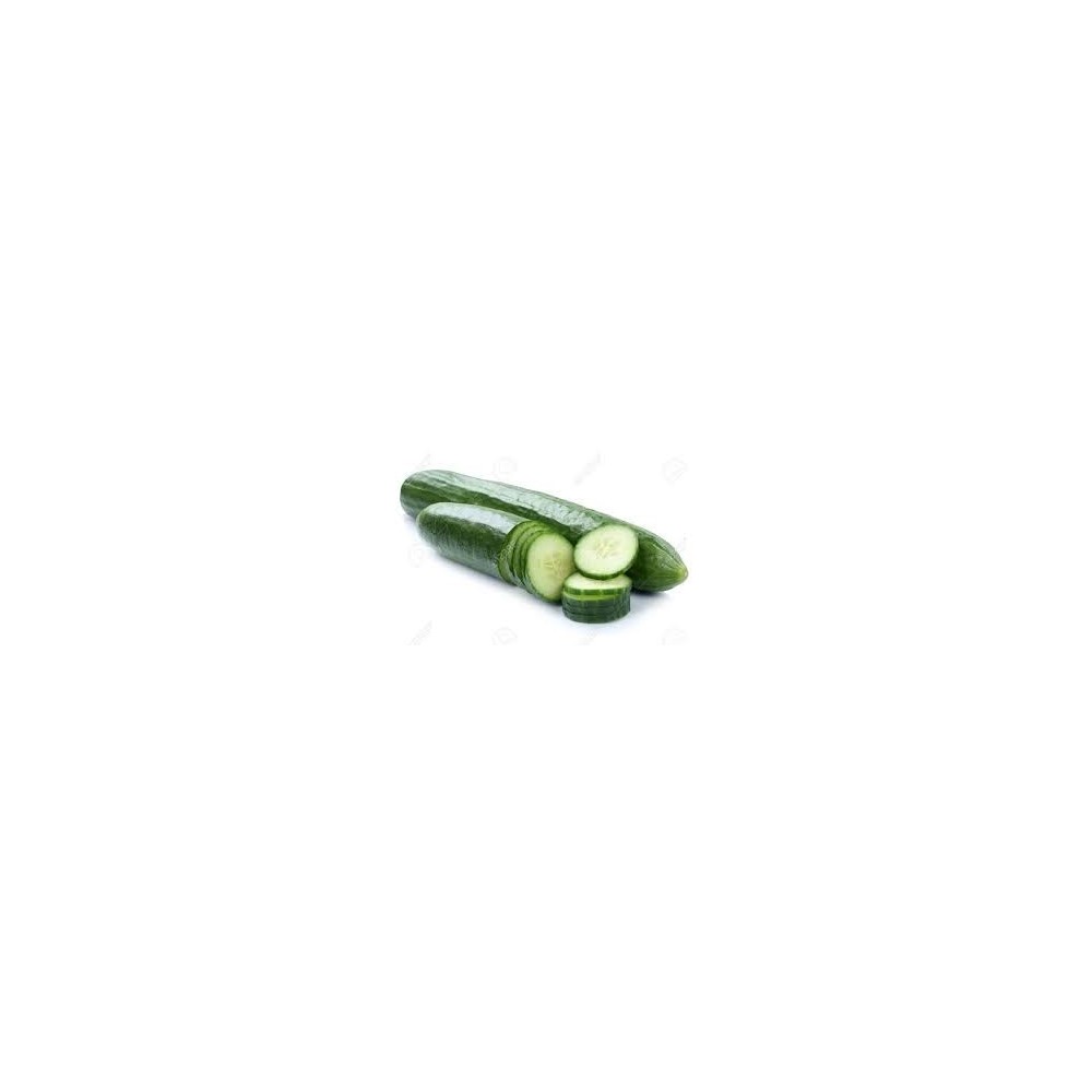 Pepino Largo Ecológico Pepino Largo Ecológico