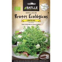 BROTES LENTEJA ECO Batlle