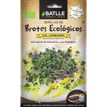 BROTES COL LOMBARDA ECO 12g Batlle