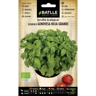 SEMILLA ALBAHACA GENOVESA...