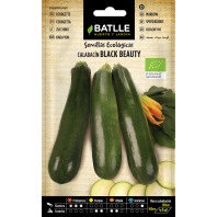 SEMILLA CALABACIN BLACK...