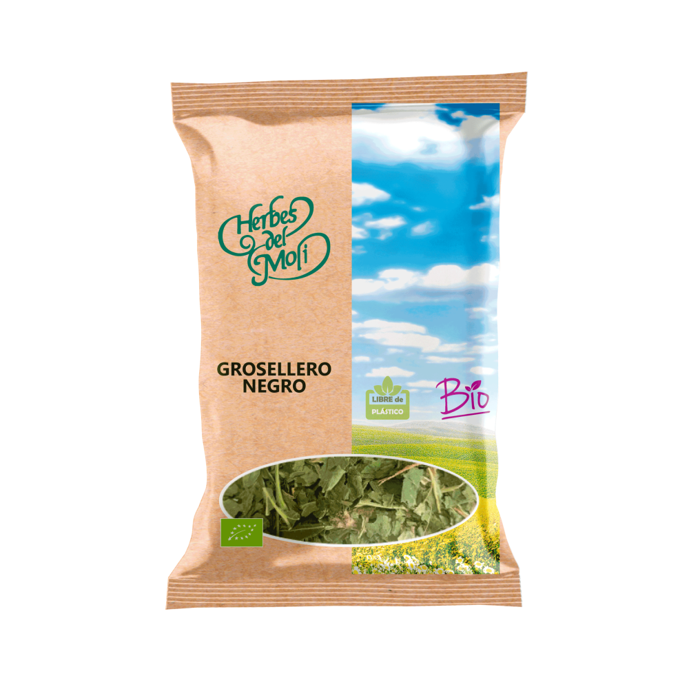 GROSELLERO NEGRO ECO 40gr Artemis