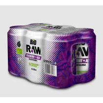 BEBIDA ISOTONICA ECO ARANDANO Y ACAI 330ml Raw