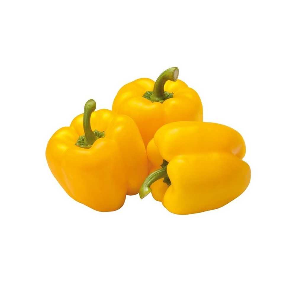 Pimiento amarillo ecológico