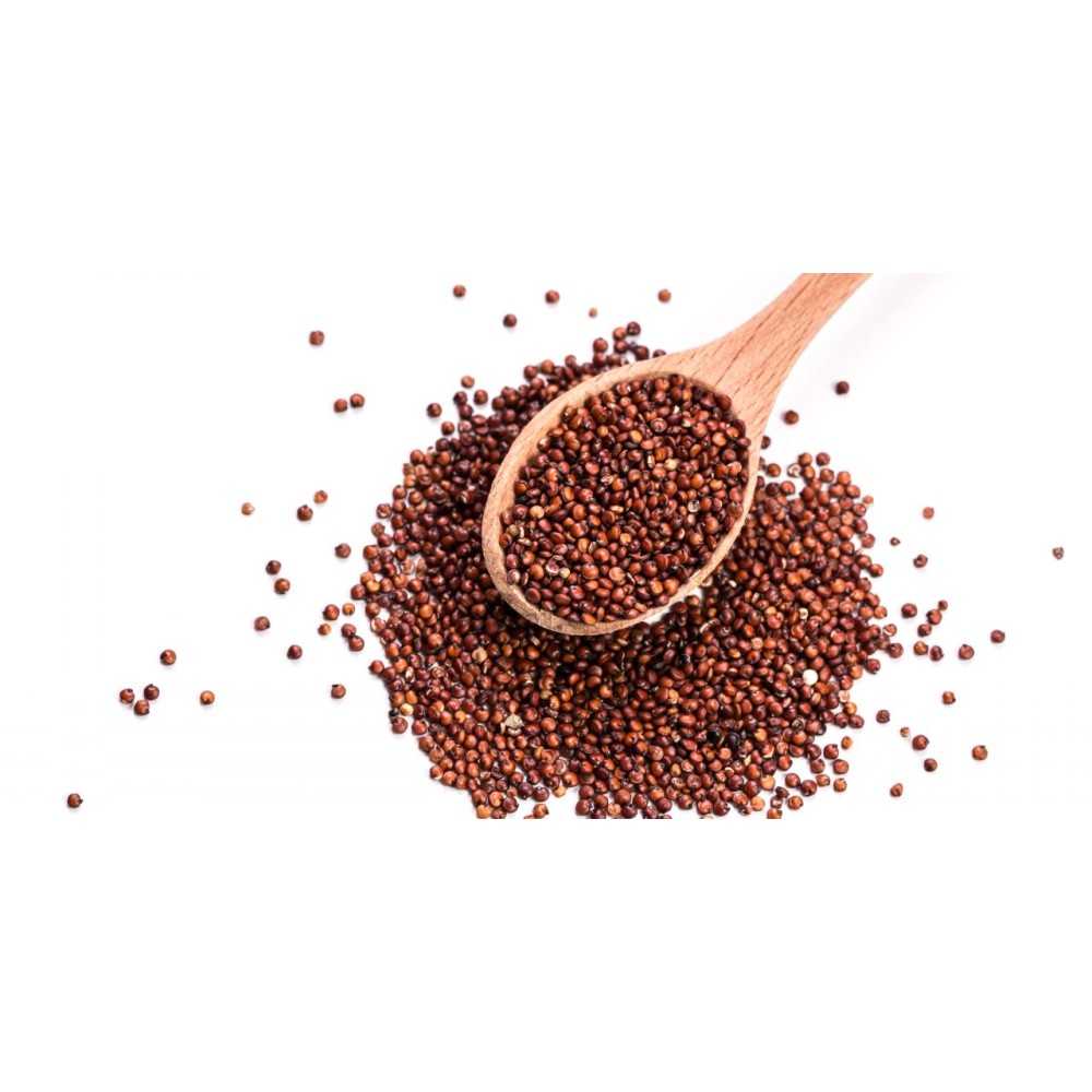 QUINOA ROJA ECO 500gr Bioles