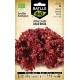 Semilla de Lechuga Lollo Rossa Eco Batlle - Bolsa