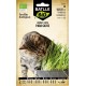 Semillas de Hierba Para Gatos Eco de Batlle en su envase