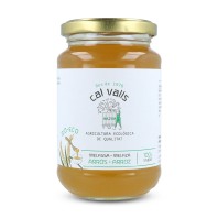 Melaza de arroz ecológica en envase de 450g