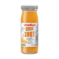 botella Shot de Jengibre Curcuma Eco 95ml Demeter