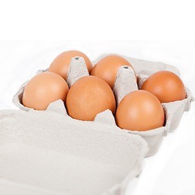 Huevos Ecológicos de gallinas en libertad