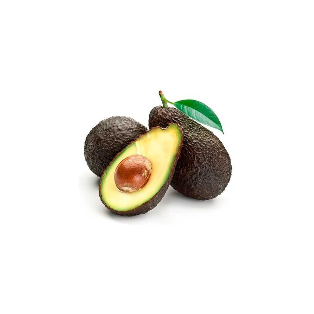 Aguacate Hass Ecológico Aguacate Hass Ecológico
