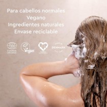 Aplicación del champú natural para cabello graso
