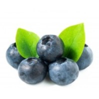 arándano ecológico