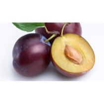 Ciruela ecológica Ciruela ecológica