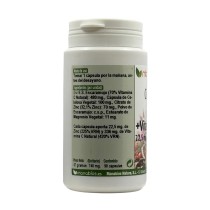 ingredientes cápsulas Zinc + Vitamina C