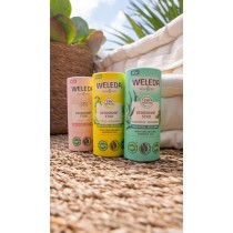 Desodorante stick piel sensible eco 50gr Weleda