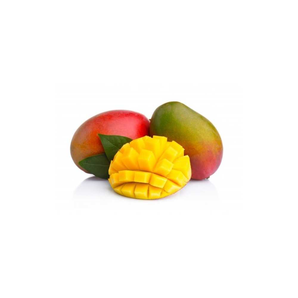 Mango Ecológico Mango Ecológico