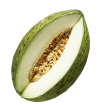 Melón Piel de Sapo