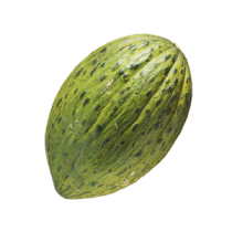 Melón Piel de Sapo