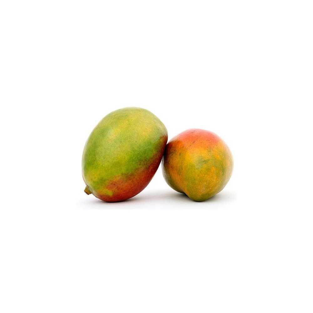 Mango Lippen Ecológico