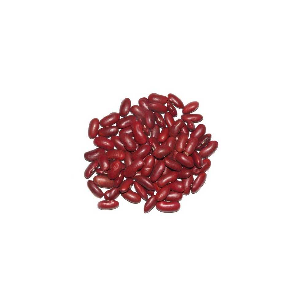 Alubia Roja Eco 500gr Bioles