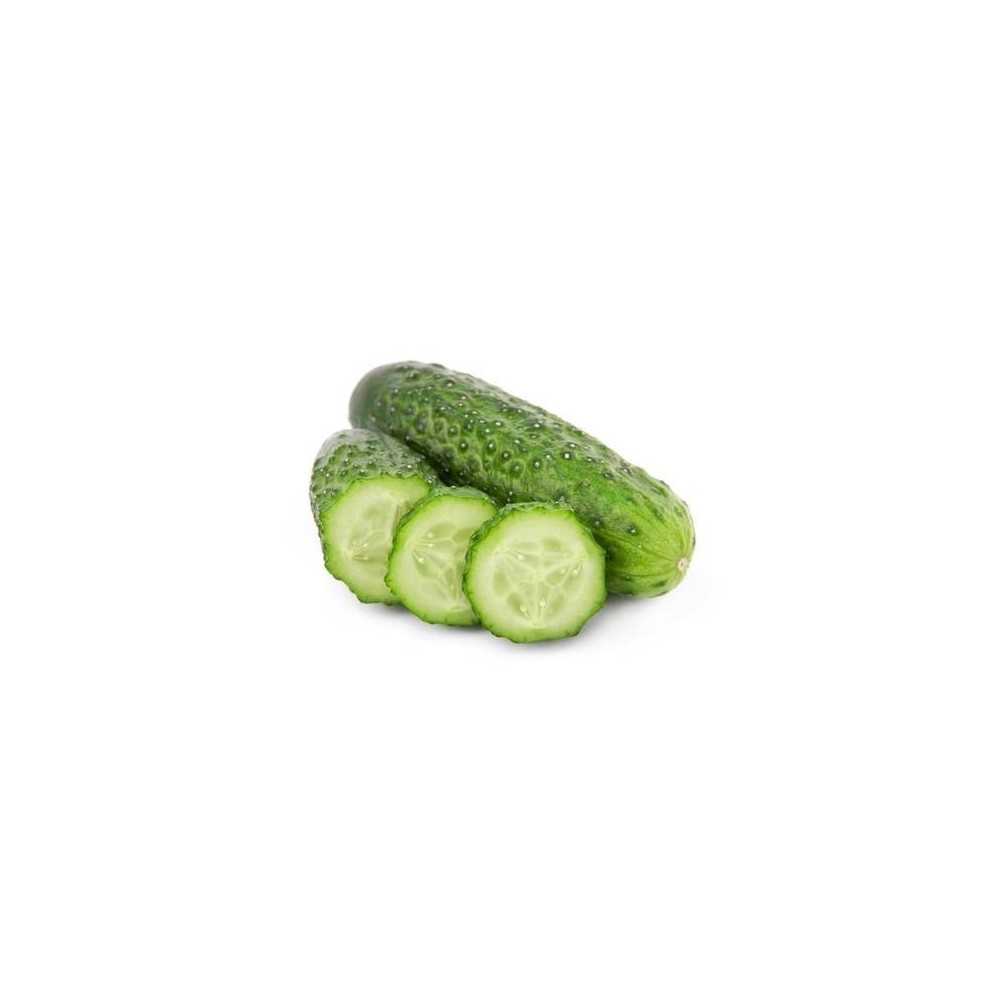 Pepino Corto Ecológico