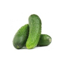 Pepino Corto Ecológico