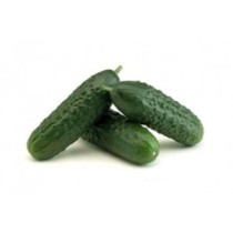 Pepino Corto Ecológico