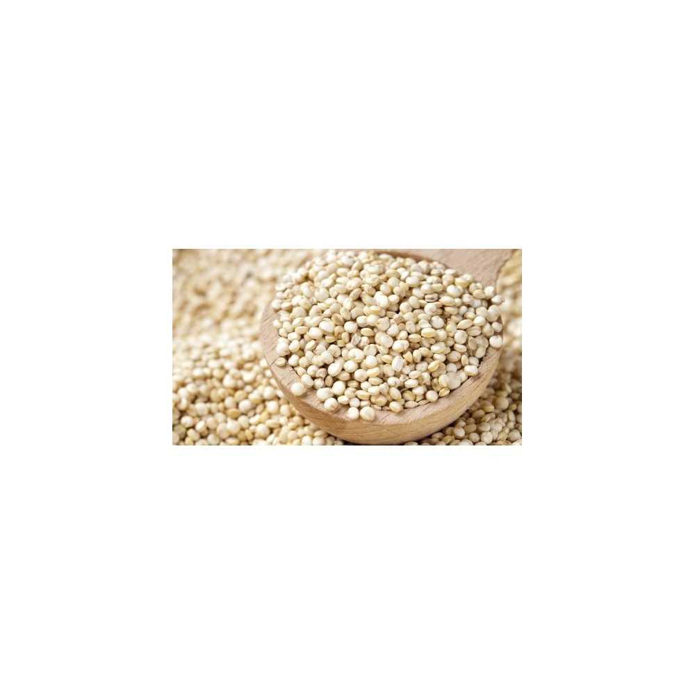Quinoa Blanca Eco 500gr Bioles