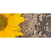 Semillas de Girasol Eco 500gr Bioles
