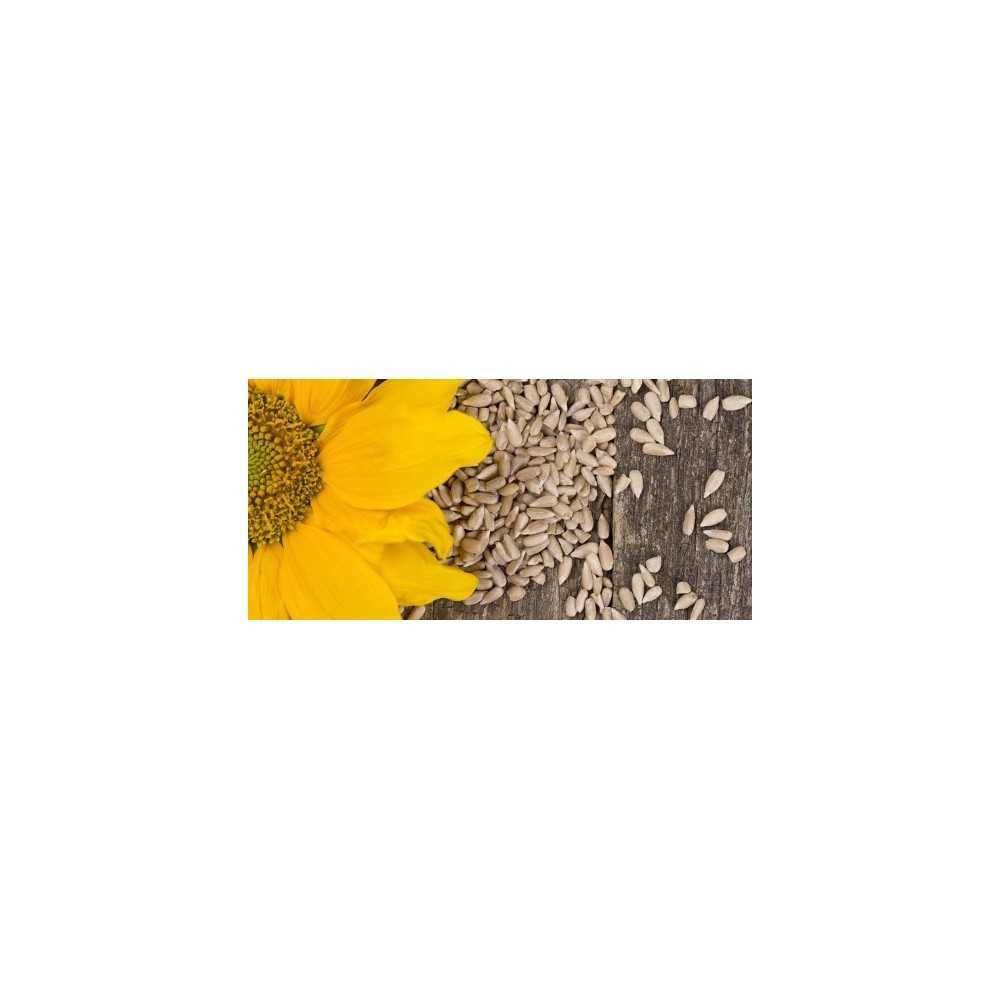 Semillas de Girasol Eco 500gr Bioles