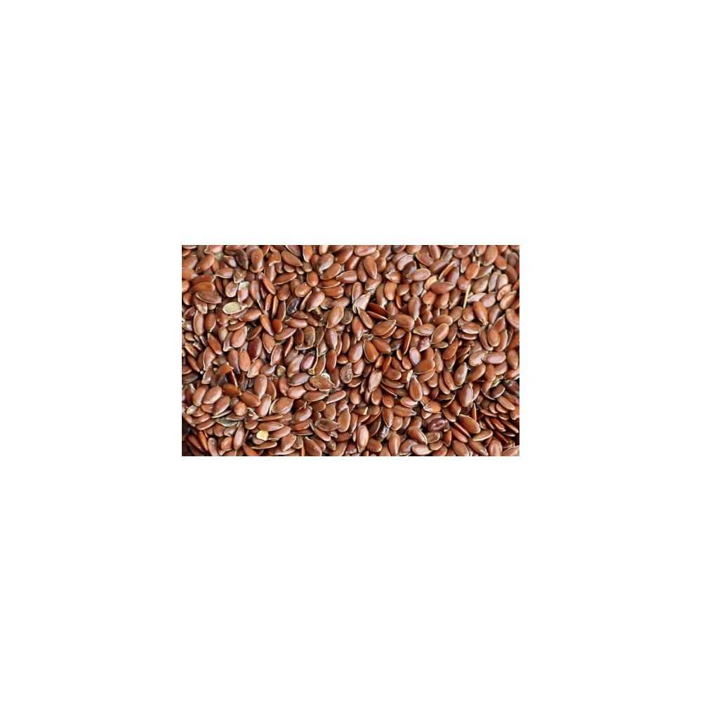 Semillas de Lino Marrón Eco 500gr Bioles