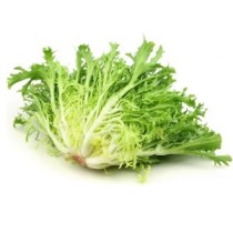 Escarola Ecológica Unid.