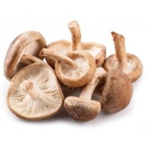 Seta Shiitake Ecológico