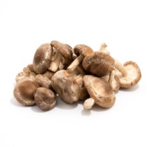 Seta Shiitake Ecológico