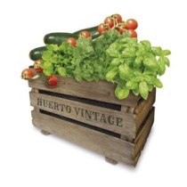 KIT HUERTO VINTAGE ECO