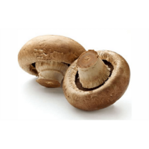 Champiñón Portobello Ecológico