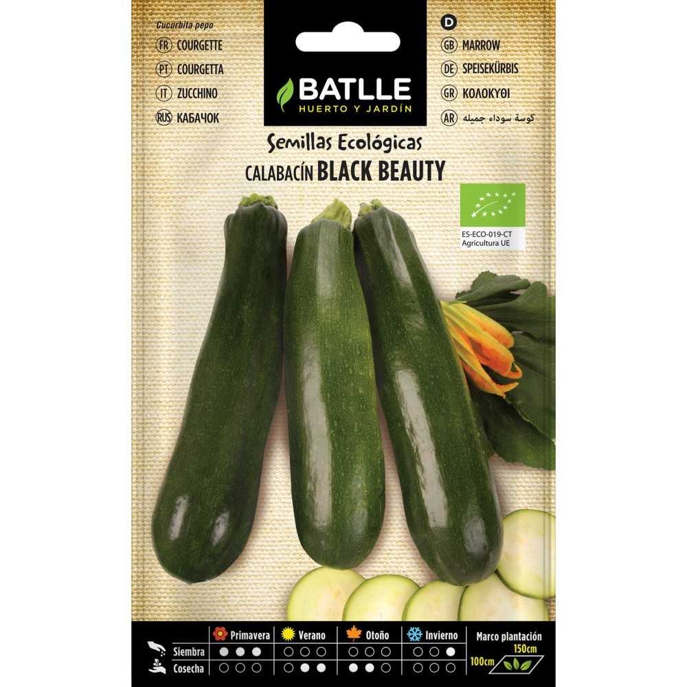 SEMILLA CALABACIN BLACK BEAUTY ECO 4g Batlle