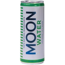 REFRESCO SABOR LIMA JENGIBRE 250mL ECO Moon Drinks