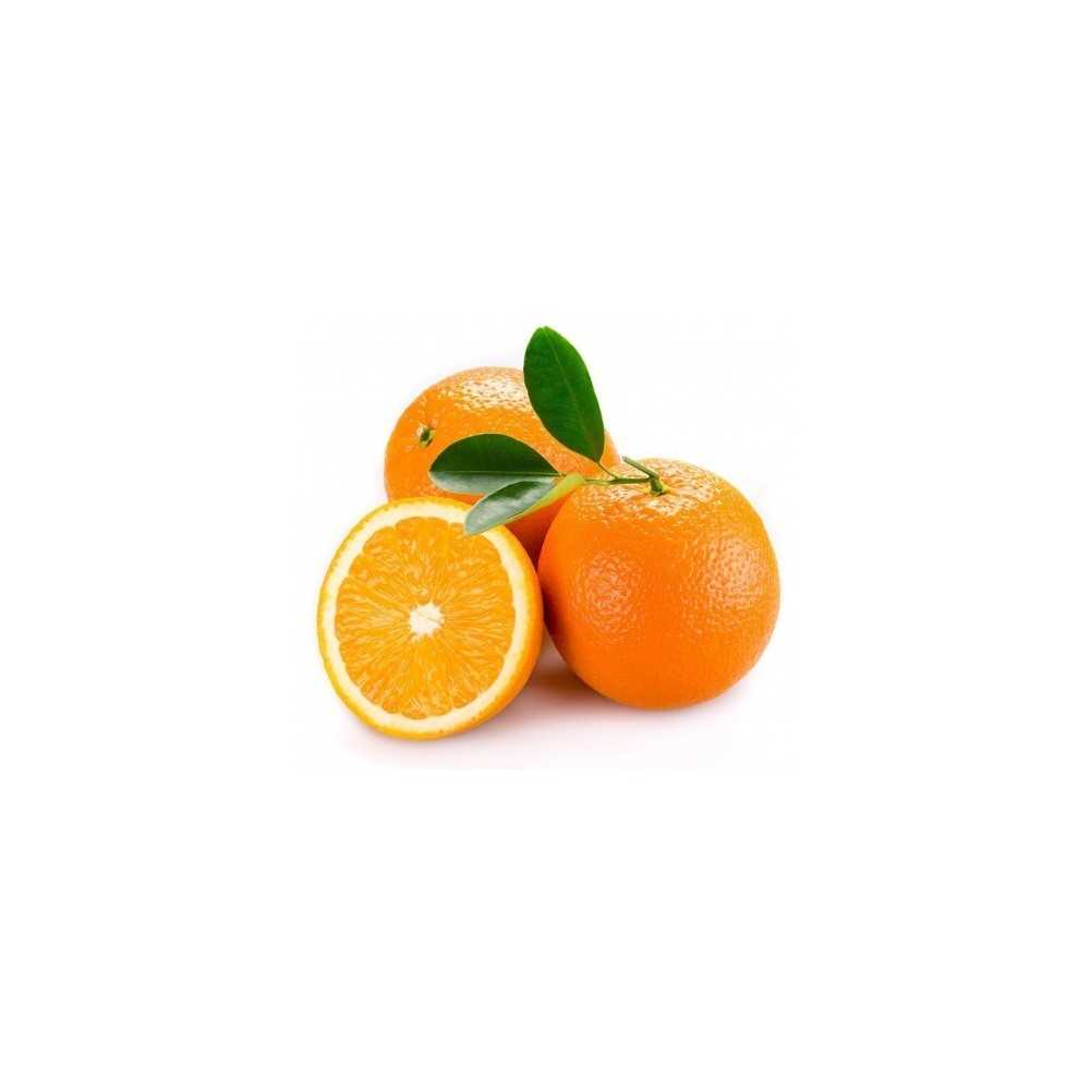 Naranja de Mesa Ecológica Naranja de Mesa Ecológica