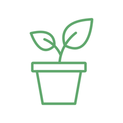 Huertos y plantas orgánicas