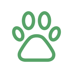 Productos Ecológicos para Mascotas